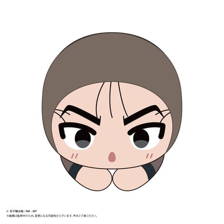 忍たま乱太郎　はぐキャラコレクション8