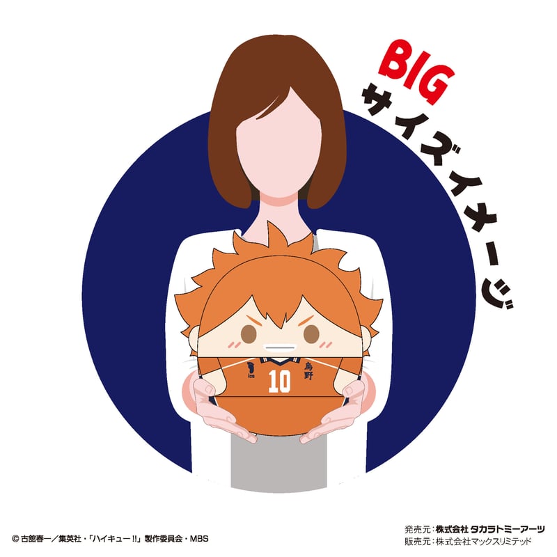 ハイキュー!! ふわコロりんBIG5 日向翔陽(夏服ver ハイキュー!! ふわコロりんBIG5 日向翔陽(夏服ver