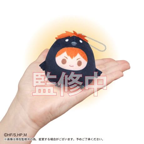 ハイキュー!!　てのりんず