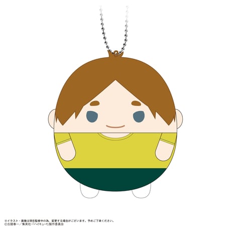ハイキュー!!　ふわコロりん10