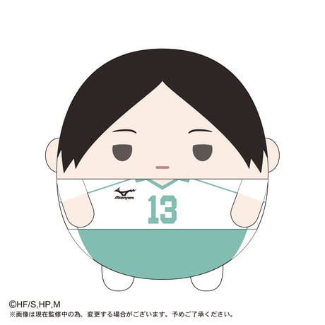 ふわコロりんBIG4　国見 英