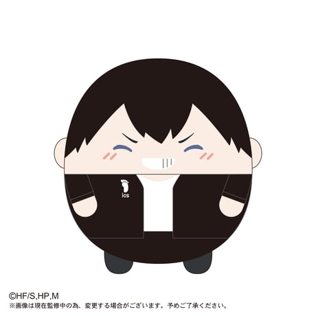 ふわコロりんBIGスペシャル　影山 飛雄