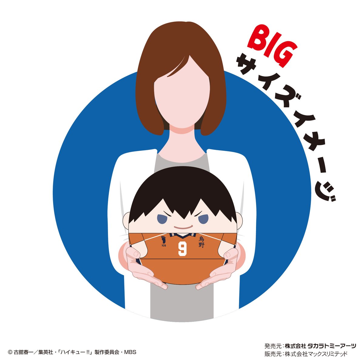 ハイキューふわコロりんBIG  日向と影山 ２個まとめ売り