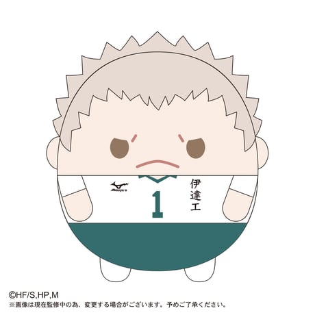 ふわコロりんBIG2　青根 高伸