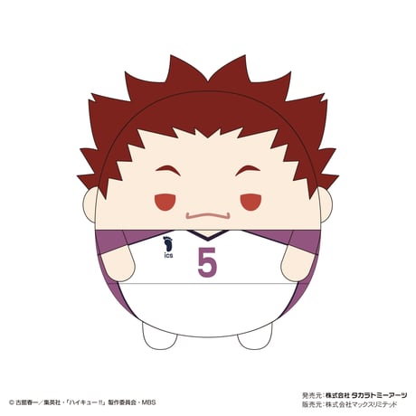 ハイキュー!!　ふわコロりん5