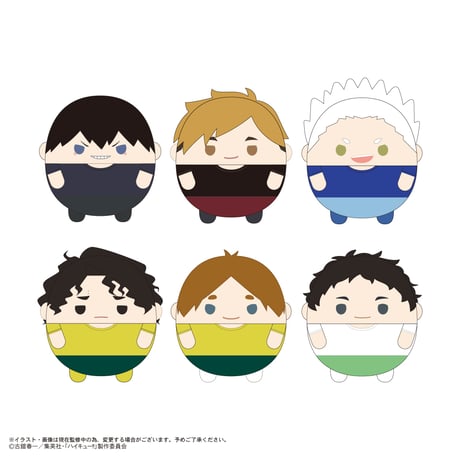 ハイキュー!!　ふわコロりん10