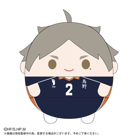 ふわコロりんBIG3　菅原 孝支