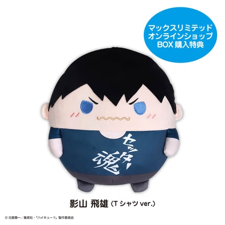 じじ ユニオンアリーナ ハイキュー SR星2 影山飛雄 パラレル
