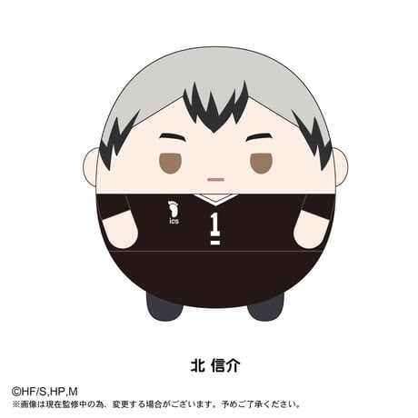 ふわコロりんBIG　北信介