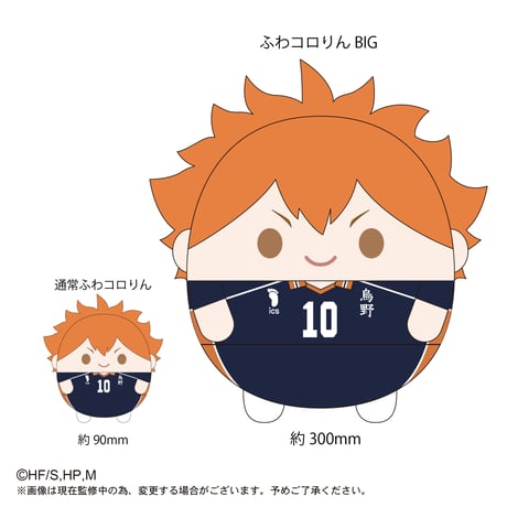 ふわコロりんBIG　角名倫太郎