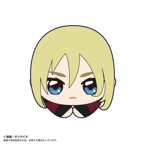 機動戦士ガンダム SEED ＆機動戦士ガンダム SEED DESTINY　はぐキャラコレクション