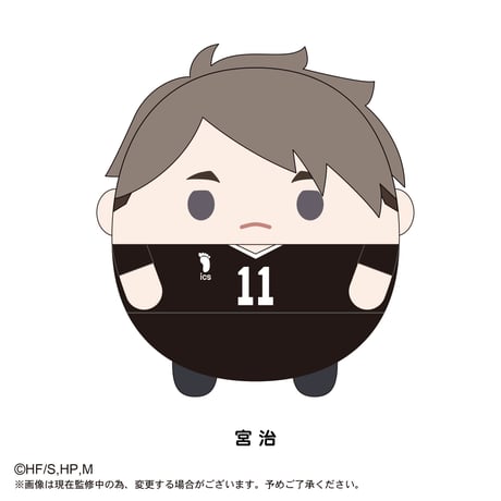 ふわコロりんBIG　宮治