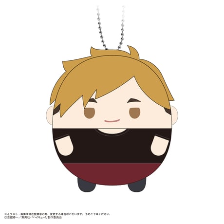 ハイキュー!!　ふわコロりん10