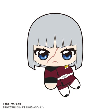 機動戦士ガンダム SEED ＆機動戦士ガンダム SEED DESTINY　ててコレ