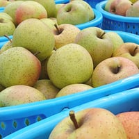 王林（おうりん）