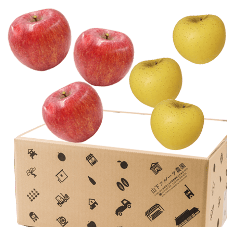 ファンメンバーズ (定期便)　定番りんご