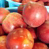 紅玉（こうぎょく）