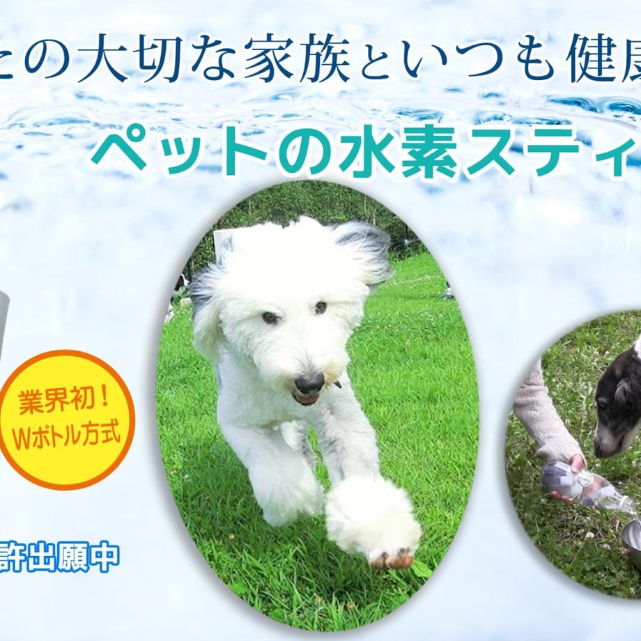 5f75baea8f2ebd6cdb1a860c