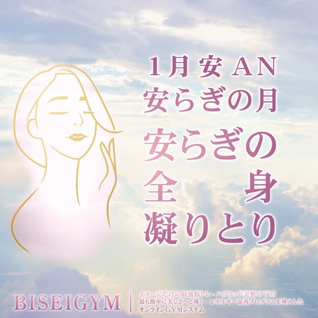 【１月の美のミッション安 ＡＮ】（銀行振込＆メールでご案内版）