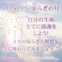 【１月の美のミッション安 ＡＮ】（銀行振込＆メールでご案内版）