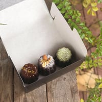 カヌレ詰合せ３個セット