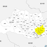 埼玉県 市区町村別 白地図 PDFデータ