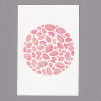 [Postcard] 桜貝