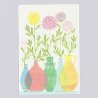 [Postcard] ポンポン菊