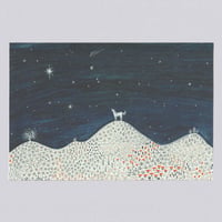 [Postcard] North Star