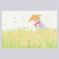 [Postcard] 実りのとき