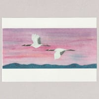 [Postcard] 今日も一緒