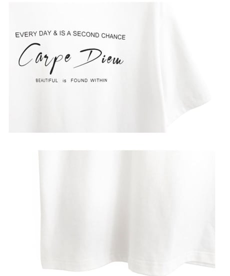 carpe diem T-shirt/4color(ネコポス)