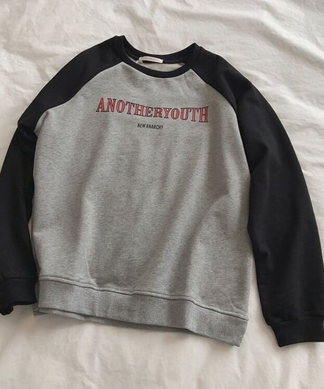 raglan trainer/2color