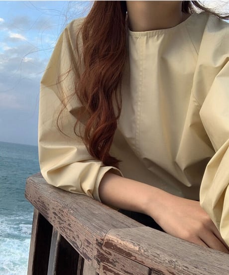back design blouse/2color