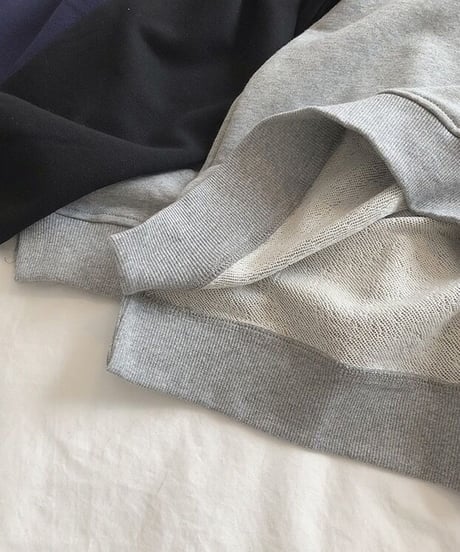 raglan trainer/2color