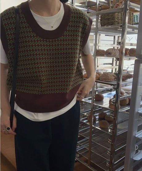 pattern knit vest/2 color