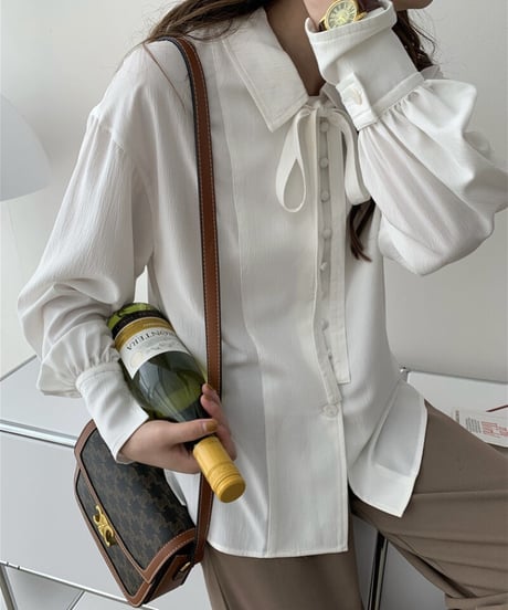 ribbon shirt blouse