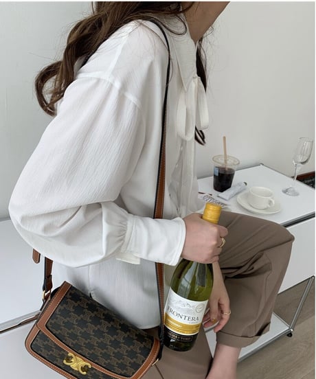 ribbon shirt blouse