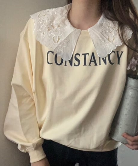 constancy trainer/6color