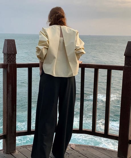 back design blouse/2color
