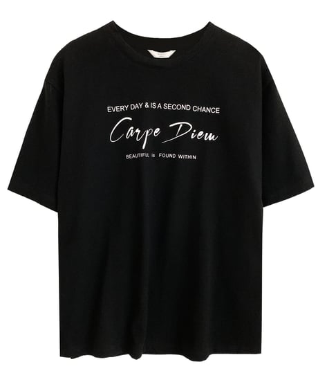 carpe diem T-shirt/4color(ネコポス)