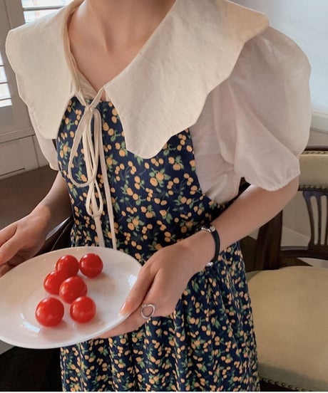 design collar ribbon blouse/3color