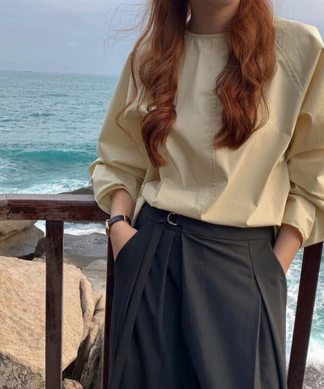 back design blouse/2color