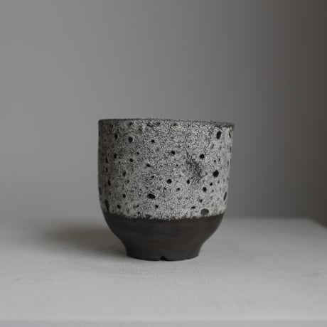 TOGETOGE×sou.plants作家 鉢 sou.×伝市鉢 観葉植物 植物と鉢。アストロフィツム