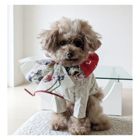 【ワンちゃん用・オシャレスヌード】