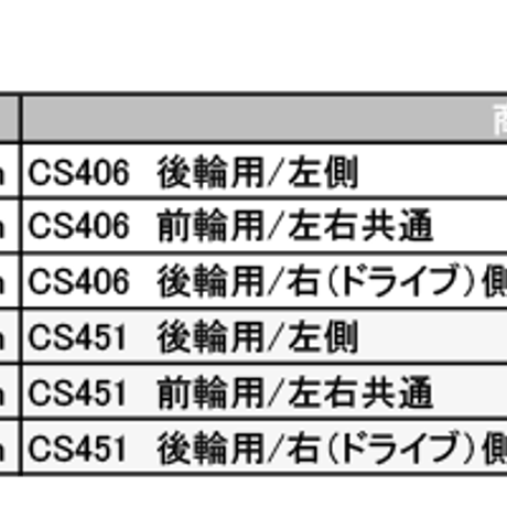 Classic Style用 SAPIM Raceスポーク　5本セット