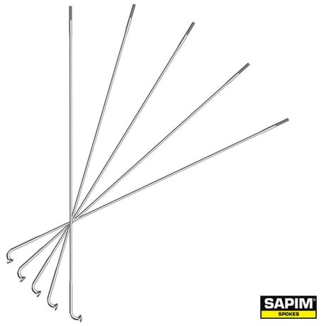 Classic Style用 SAPIM Raceスポーク　5本セット