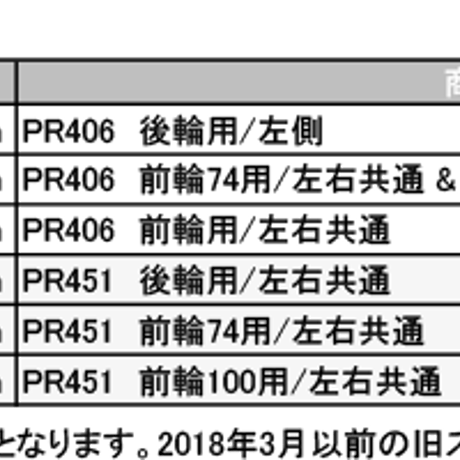 Parallel Race (シルバー)用 SAPIM Laserスポーク　5本セット