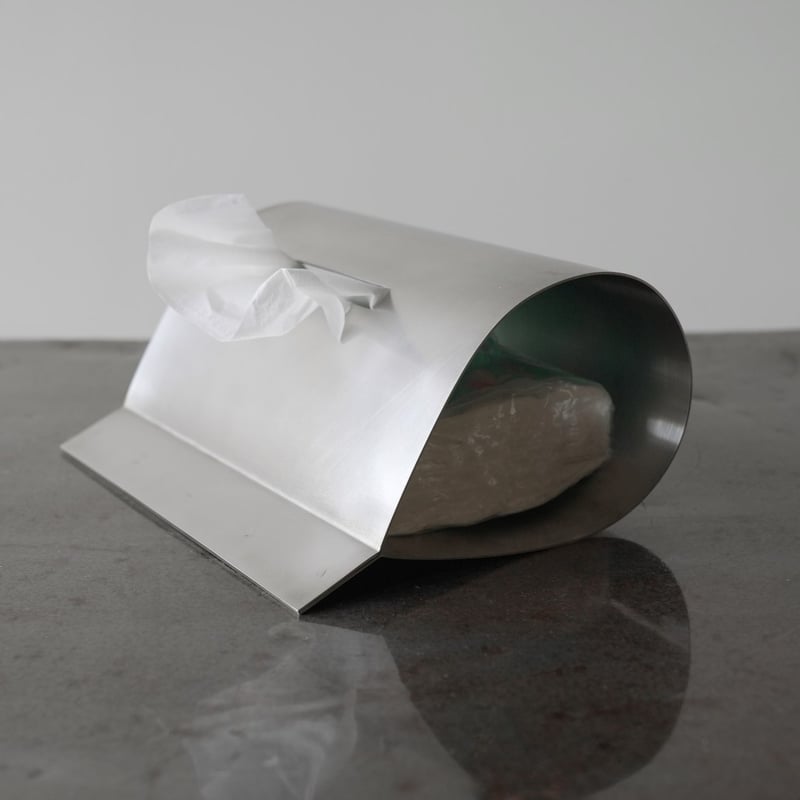 35-tcs smooth tissue case stainless ver. | AIRA