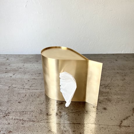 34-tc smooth-tissue case S